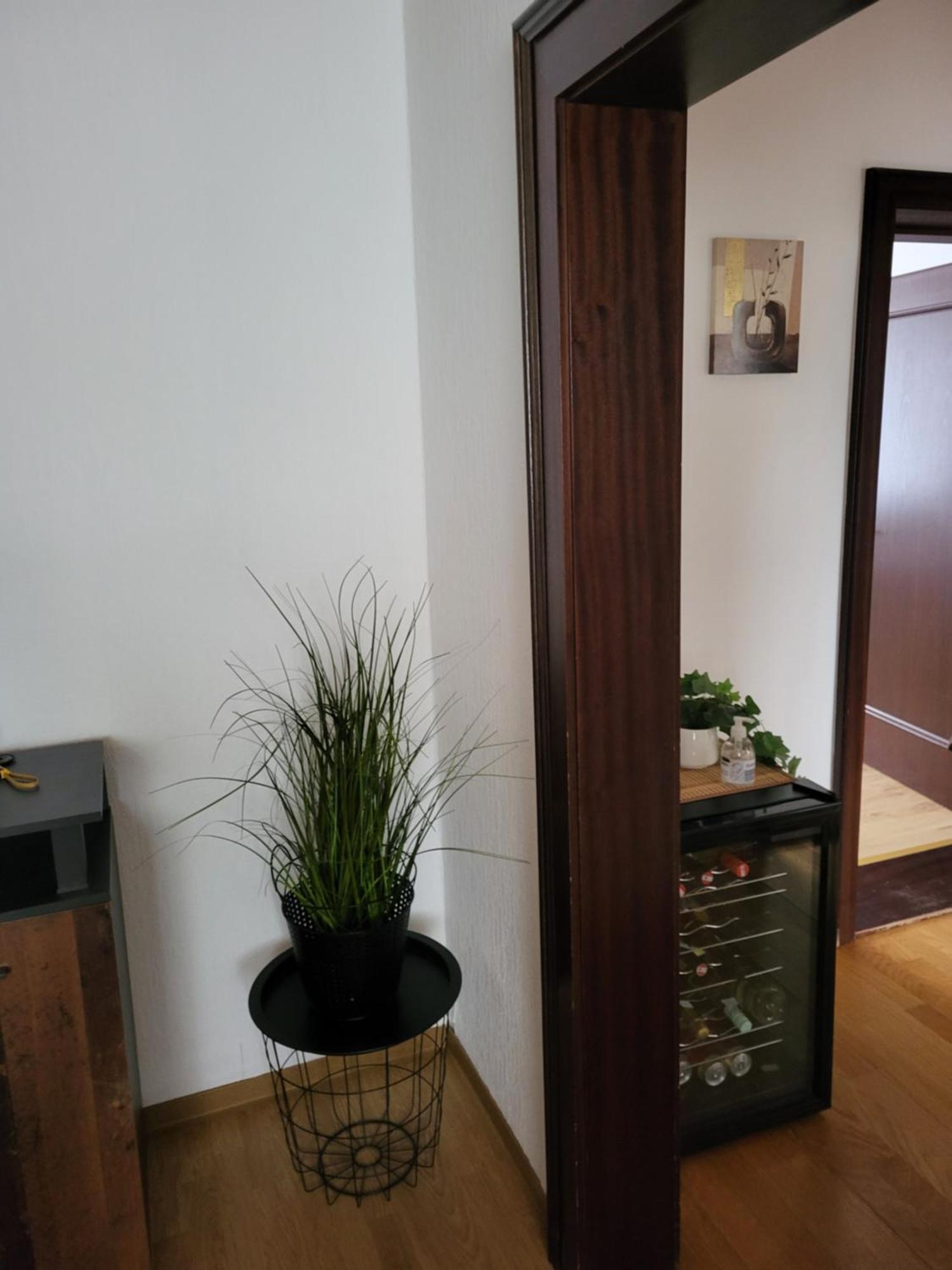 Gemütliches Wohnen In Im Burgenland Apartment Frauenkirchen